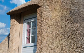 Kings Tamerton thatch roof disadvantages